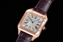 CARTIER SANTOS WGSA002 F1-690 31.4MM