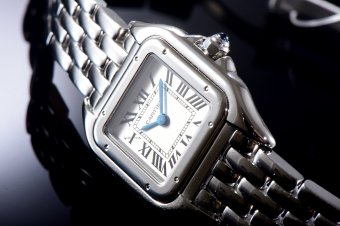 Cartier Panthere Secrete Swiss Quartz 22mm CARA8F22A