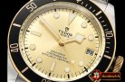 TUD057 - Heritage 2017 Black Bay YG/SS Gold ZF Asia 2824