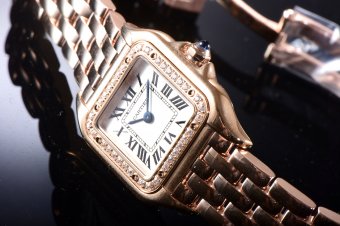 Cartier Panthere Secrete Swiss Quartz 22mm CAR884822F