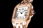 Cartier Panthere Secrete Swiss Quartz 22mm CAR884822F