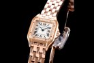Cartier Panthere Secrete Swiss Quartz 22mm CAR884822F