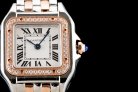Cartier Panthere Secrete Swiss Quartz 22mm CAR884822C