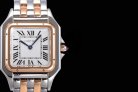 CARTIER PANTH