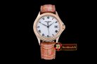 PP0241A - Calatrava Ref.5117 RG/LE White Roman MY9015 Mod