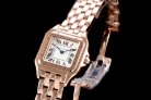 Cartier Panthere Secrete Swiss Quartz 22mm CAR884822D