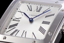 Cartier Santos WSSA0032 46.6mm QZ F12021100924
