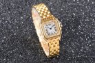 Cartier Panthere Secrete Swiss Quartz 22mm CAR884822G