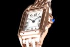 Cartier Panthere Secrete Swiss Quartz 22mm CAR884822D