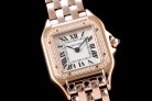 Cartier Panthere Secrete Swiss Quartz 22mm CAR884822F