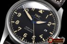 IWC Mark XVIII IWC327006 TI/LE Black M+F Asia 2892