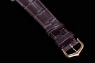 CARTIER SANTOS WGSA002 F1-690 31.4MM