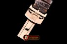 Glashutte Senator Tourbillon RG/LE White Roman Asia Tourbillon