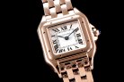 Cartier Panthere Secrete Swiss Quartz 22mm CAR884822D