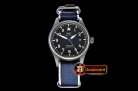 IWC Mark XVIII IWC327006 TI/LE Black M+F Asia 2892