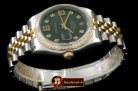 RDJ0253B - SS/YG Jubilee Green Diam 2836