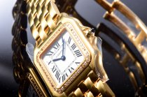 Cartier Panthere Secrete Swiss Quartz 22mm CAR884822G