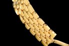 Cartier Panthere Secrete Swiss Quartz 22mm CAR884822E