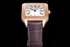 CARTIER SANTOS WGSA002 F1-690 31.4MM
