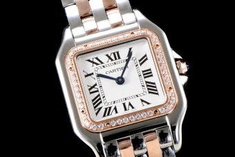 Cartier Panthere Secrete Swiss Quartz 27mm CAR884827C