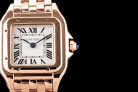 Cartier Panthere Secrete Swiss Quartz 22mm CAR884822D