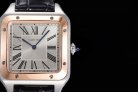 CARTIER SANTOS W2SA0011 F1-690 31.4MM