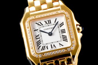 Cartier Panthere Secrete Swiss Quartz 27mm CAR884827G