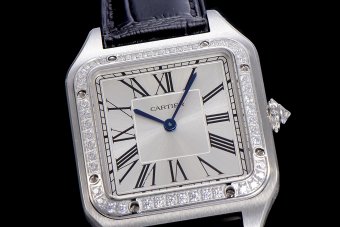 Cartier Santos WSSA0022 43.5mm Lady QZ F12021100910