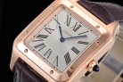 CARTIER SANTOS WGSA002 F1-690 31.4MM