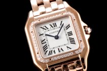 Cartier Panthere Secrete Swiss Quartz 27mm CAR884827F