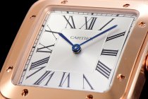 Cartier Santos WSSA0032 46.6mm QZ F12021100922
