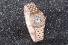 Cartier Panthere Secrete Swiss Quartz 22mm CAR884822F