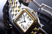 Cartier Panthere Secrete Swiss Quartz 22mm CAR884822A