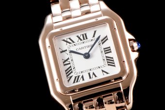 Cartier Panthere Secrete Swiss Quartz 27mm CAR884827D