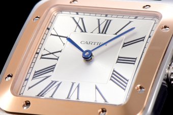 Cartier Santos WSSA0032 46.6mm QZ F12021100923