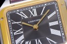 Cartier Santos WGSA0034 43.5mm QZ F1202110917