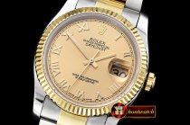 Rolex Datejust Man DJ 36mm Oyst Flt YG/SS (Wrap) Gold Roman BP A