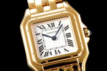 Cartier Panthere Secrete Swiss Quartz 27mm CAR884827E