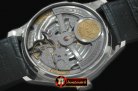 IWC0254 - Portugese 5007 SS/LE