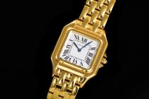 CARTIER PANTH