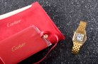 Cartier Panthere Secrete Swiss Quartz 22mm CAR884822E