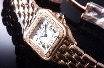 Cartier Panthere Secrete Swiss Quartz 22mm CAR884822F