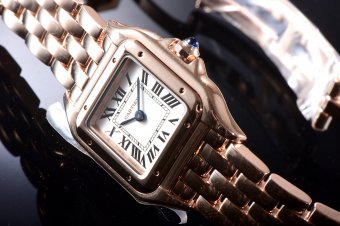 Cartier Panthere Secrete Swiss Quartz 22mm CAR884822D
