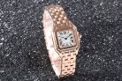 Cartier Panthere Secrete Swiss Quartz 22mm CAR884822D