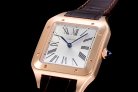 Cartier Santos WSSA0032 46.6mm QZ F12021100922