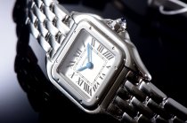 Cartier Panthere Secrete Swiss Quartz 22mm CARA8F22A