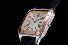 CARTIER SANTOS W2SA0011 F1-690 31.4MM