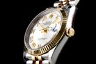 RLX200427C - GMF Rolex Datejust 36mm Steel-14K A3235 Automatic Movement 116233