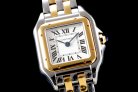 Cartier Panthere Secrete Swiss Quartz 22mm CAR884822A