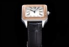 CARTIER SANTOS W2SA0011 F1-690 31.4MM